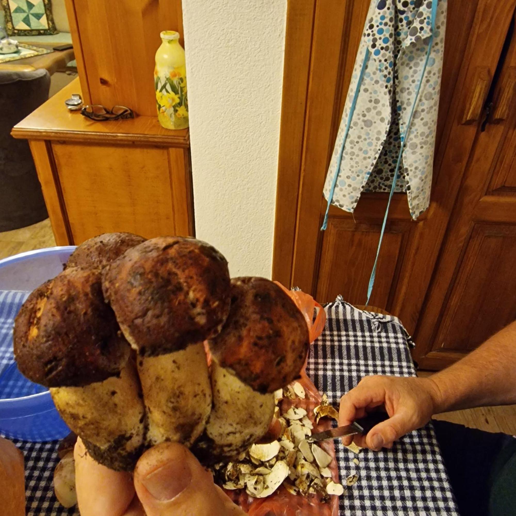 Apartmani Vukomanovo Mojkovac Exteriör bild